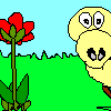 spring