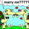 proposal