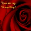 rote Rose